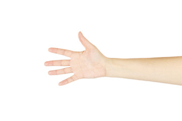Hand of women on a white background. Isolated.