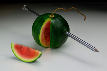 watermelon 1DSC_1090_477