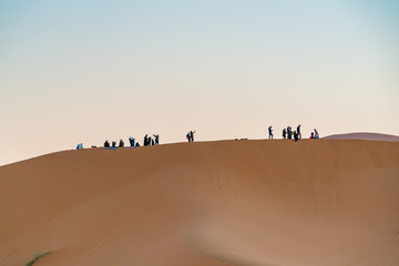Fototapeta na wymiar Group going in sand desert