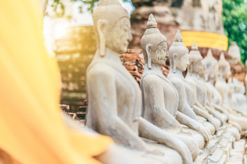 Obraz premium Worship of Thailand,Buddha statue,History of Thailand,Buddha statue Temple of Ayutthaya Province. Ayutthaya Historical Park, Thailand 