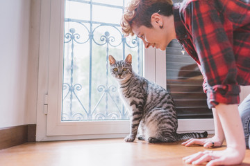 Cute scene between a woman and her european cat indoor in her house - owner, love, affection concept