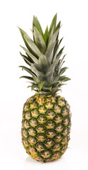 Fototapeta premium Ananas