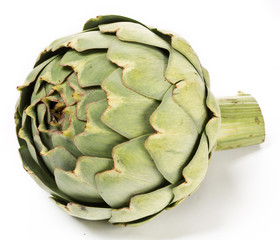 Fototapeta premium Artichaud.