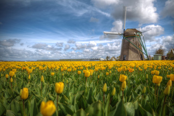 Holland