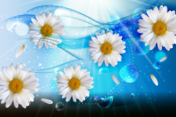 Abstract Chamomile Flowers Natural Spring and Summer Background 