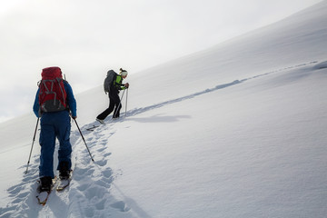 Man standing at top of ridge. Ski touring in mountains. Adventure winter extreme sport. kyrgyzstan. Tian-Shan