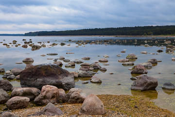 Baltic sea coast with granite boulders in cloudy day. Relaxing and cold landscape with forest at the background.