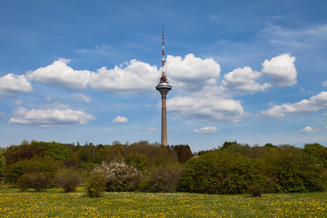 Fototapeta premium Tallinn TV tower, the highest building in Tallinn and Estonia