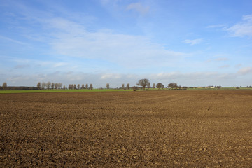 Obraz premium plowed field in yorkshire