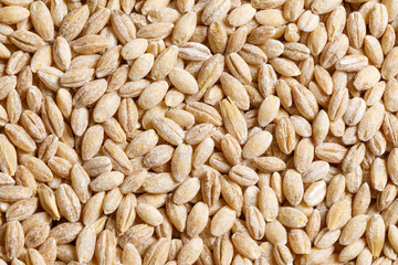 pearl barley raw food ingredient texture