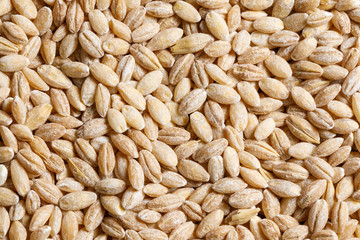 pearl barley raw food ingredient texture