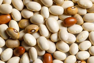 white bean raw food ingredient texture