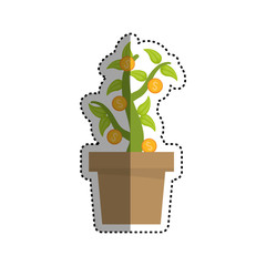 Coins of money icon vector illustration graphic design