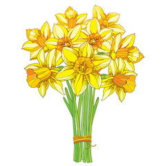 Vector bouquet with outline yellow narcissus or daffodil flowers isolated on white. Ornate floral element for spring design, greeting card, invitation. Bunch of narcissus flower in contour style.
