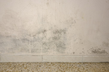 Mould and moisture build up on a wall