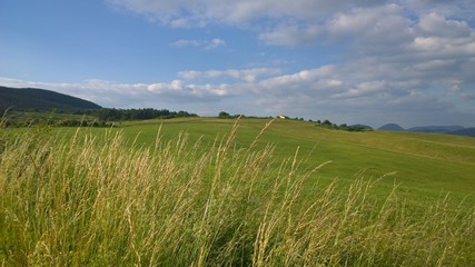 Green woods and meadows. Slovakia