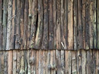 eucalyptus wood set vertical for background