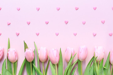 Pink tulips with pink heart sprinkles on the pink background. Fl