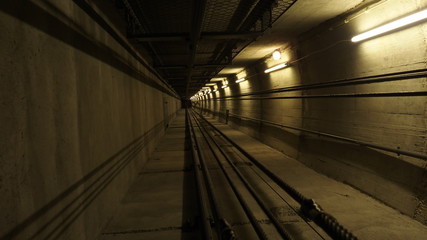 Fototapeta premium OLYMPUS DIGITAL CAMERA