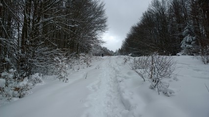 Nature covered in snow during deep winter. Slovakia