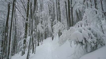Fototapeta na wymiar Nature covered in snow during deep winter. Slovakia