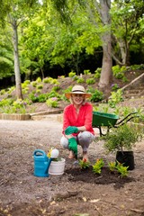 Portrait of senior woman gardening