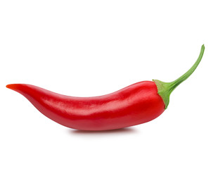 chili pepper isolated