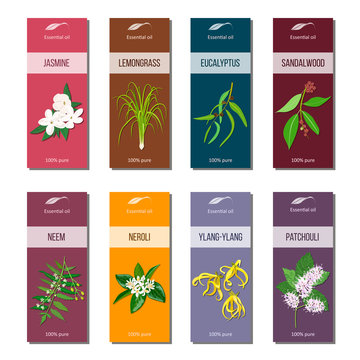 Essential Oil Tags Collection. Sandalwood, Patchouli, Ylang-ylang, Neem, Neroli, Lemongrass, Eucalyptus, Jasmine