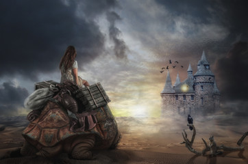 journey in a dream