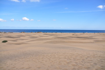 Fototapeta na wymiar Maspalomas dunes on Gran Canaria
