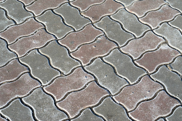 Obraz premium Paving stone texture