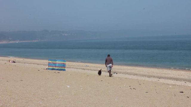 Man walking dog along beach