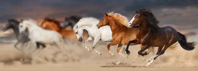 Horse herd run gallop in desert dust against sunset storm sky