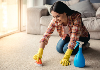Beautiful woman cleaning house