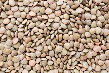Lentils pulse legumes vegetables vegetarian food background.