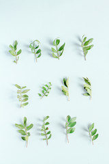 calligraphy floral pattern top view