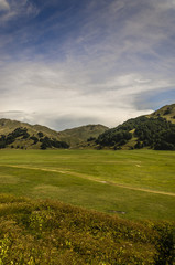 Fototapeta premium Verde vallata in montagna