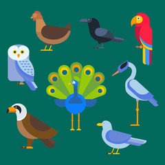 Birds vector set illustration isolated