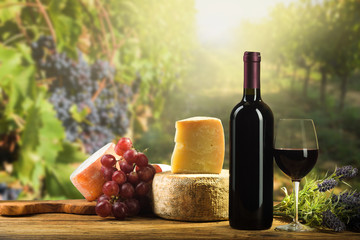 Red wine in vintage light with cheese and fruits.