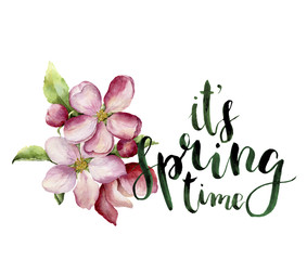Watercolor apple blossom and It's spring time lettering. Hand painted floral botanical illustration isolated on white background. Pink flower for design, print or fabric.