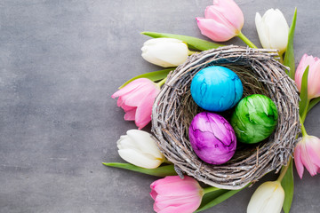 Spring greeting card. Easter eggs in the nest. Spring flowers tu