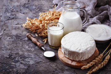  Dairy products milk, cottage cheese, sour cream and wheat