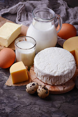 Milk, cottage cheese, sour cream, butter, eggs