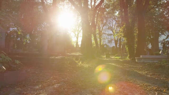 A moving shot looking forward down a path in a cemetery with sunlight and lens flare.  Highrise buildings can be seen in the distance. 4k.