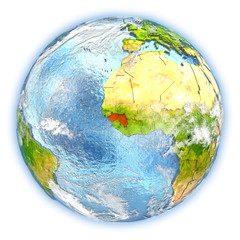 Guinea on Earth isolated