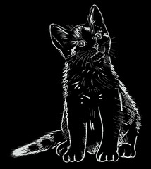 kitten drawing on tablet