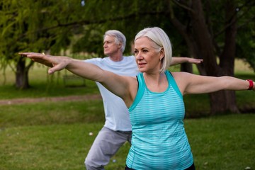 Senior couple exercising together