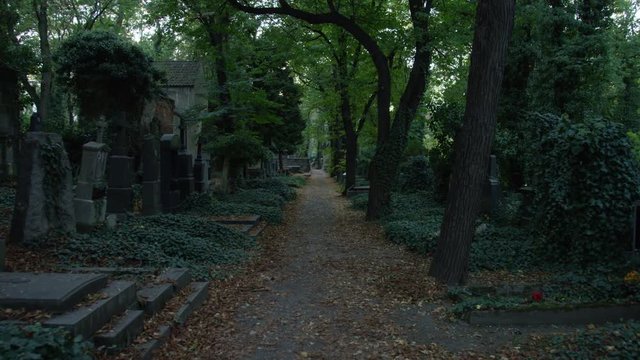 A moving shot that goes down a dark cemetery path lined with tombstones, vines, and trees. Olsany Cemetery, Prague. 4k.