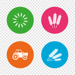 Agricultural icons. Wheat corn or Gluten free.