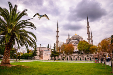 The Blue Mosque, (Sultanahmet Camii), Istanbul, Turkey.